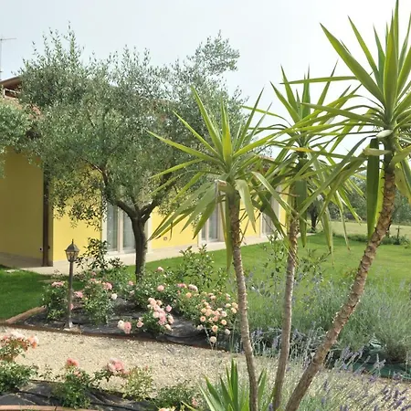 Paradiso Degli Ulivi Bed & Breakfast Peschiera del Garda