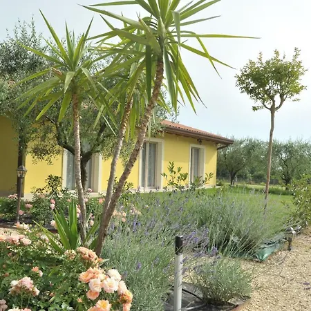 Paradiso Degli Ulivi 3* 페스키에라델가르다